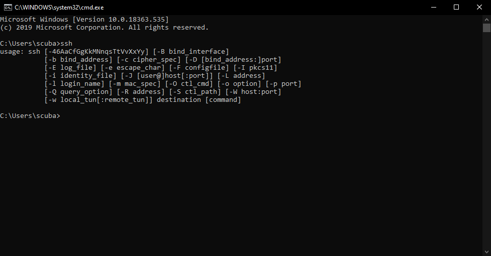 SSH output in Command Prompt