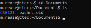 CTec default shell prompt