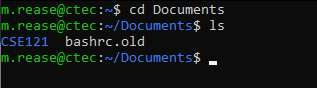 CTec shell prompt with color correctly detected