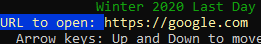 Using https://google.com as the example address
