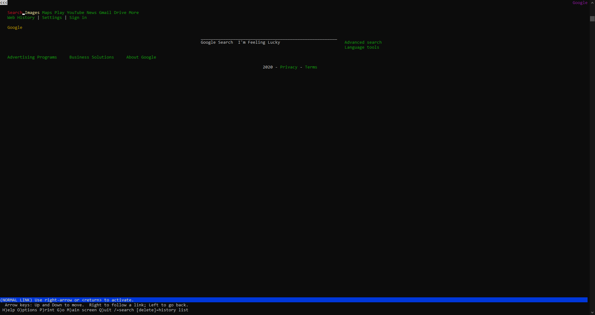 Google, seen through ascii only